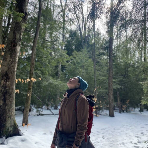 Grace Forthaus gazes up into a hemlock forest canopy from snow-covered ground.